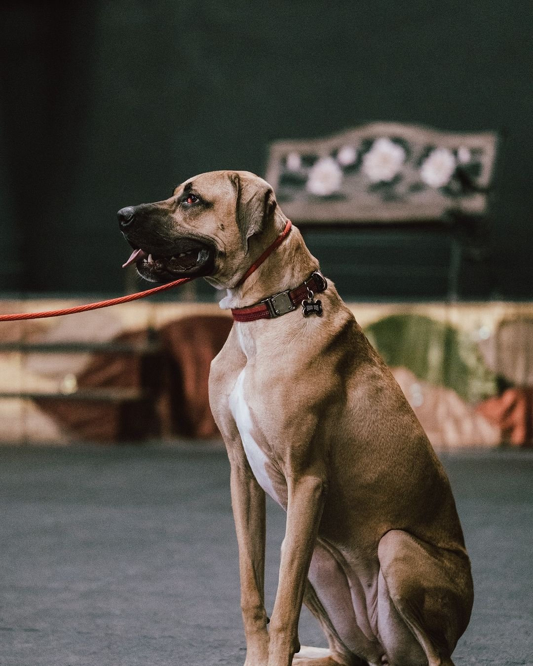 441640888_17966163809743117_6024612232443655062_n